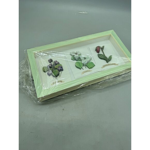 shadow box Framed 3D Botanical Prints Of Provincial Flowers green rectangle READ - Picture 12 of 16